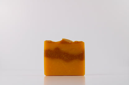 Winter Spice Soap Bar